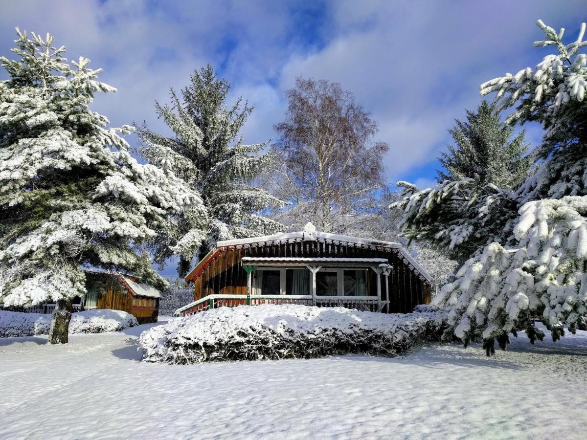 Chalets Des Trois Hetres Plombières-les-Bains Esterno foto