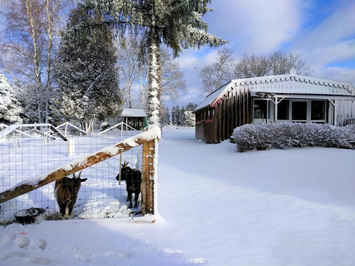 Chalets Des Trois Hetres Plombières-les-Bains Esterno foto