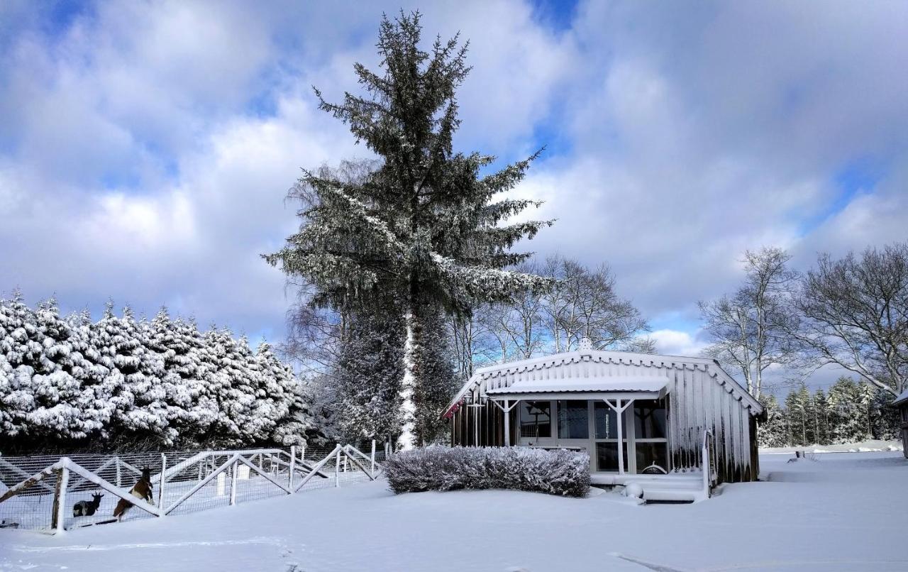 Chalets Des Trois Hetres Plombières-les-Bains Esterno foto